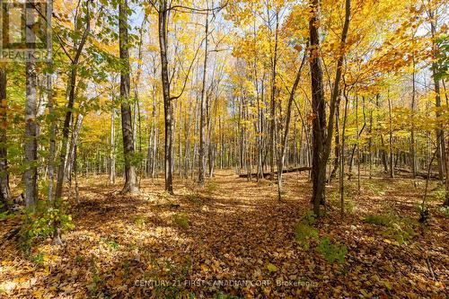 10771 Melrose Drive, Middlesex Centre, ON - Outdoor With View