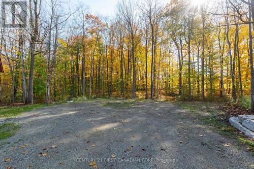 10771 Melrose Drive, Middlesex Centre, ON - Outdoor With View