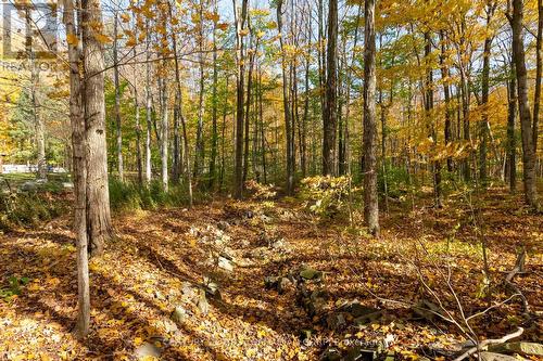10771 Melrose Drive, Middlesex Centre, ON - Outdoor With View