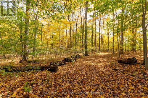 10771 Melrose Drive, Middlesex Centre, ON - Outdoor