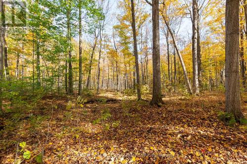 10771 Melrose Drive, Middlesex Centre, ON - Outdoor With View