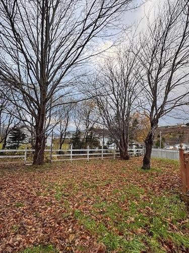 12 Cabot Street, Harbour Grace, NL 