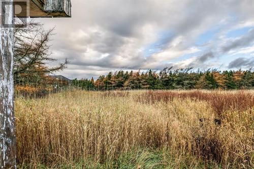 115 Cadigans Road, Logy Bay-Middle Cove-Outer Cove, NL - Outdoor With View