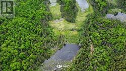 . South of East Line RD  Thessalon, ON P0R 0A1