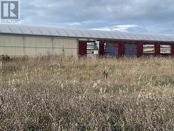 248, 271 COUNTY RD 20 ROAD  Prince Edward County (Hillier Ward), ON K0K 2T0