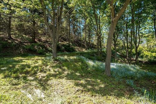 Wooded area - 46 Route 132 E., Saint-Denis-De La Bouteillerie, QC - Outdoor