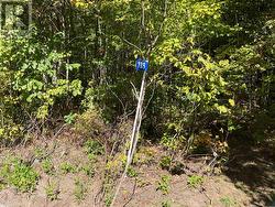 188 CON 9 ROAD  Lanark Highlands, ON K0A 1P0