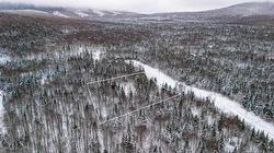 53 Ch. du Mélèze  Notre-Dame-Des-Bois, QC J0B 2E0