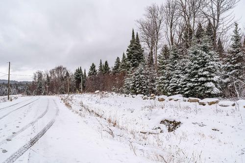 Extérieur - 53 Ch. Du Mélèze, Notre-Dame-Des-Bois, QC 