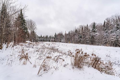 Extérieur - 53 Ch. Du Mélèze, Notre-Dame-Des-Bois, QC 