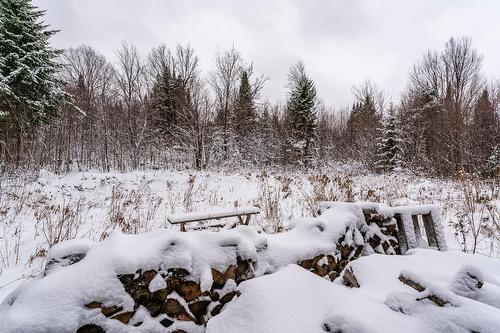 Extérieur - 53 Ch. Du Mélèze, Notre-Dame-Des-Bois, QC 