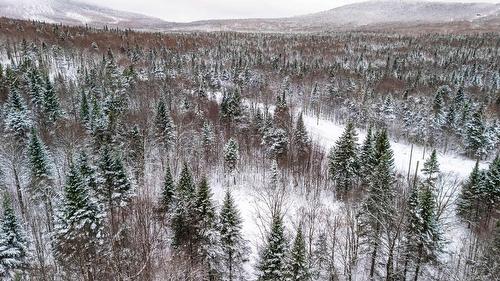 Photo aérienne - 53 Ch. Du Mélèze, Notre-Dame-Des-Bois, QC 