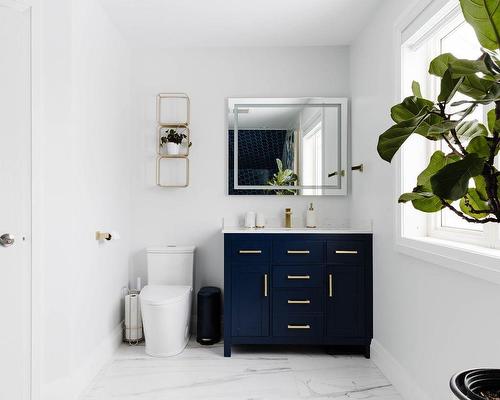 Bathroom - 17 Rue Des Perdrix, Saint-Basile-Le-Grand, QC - Indoor Photo Showing Bathroom