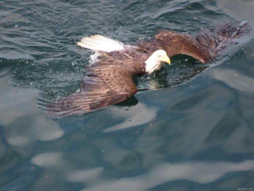 37189 Schooner Way, Pender Island, BC 