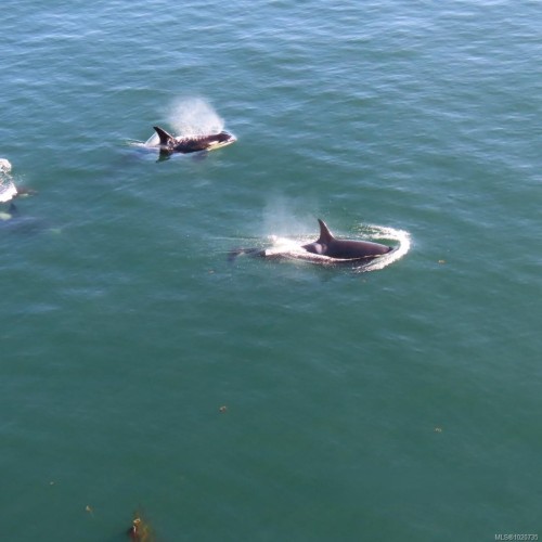 37189 Schooner Way, Pender Island, BC 