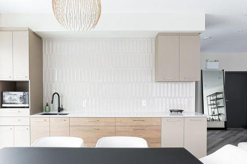 Kitchenette - 214-555  - 565 Rue René-Lecavalier, Terrebonne (Terrebonne), QC - Indoor Photo Showing Kitchen