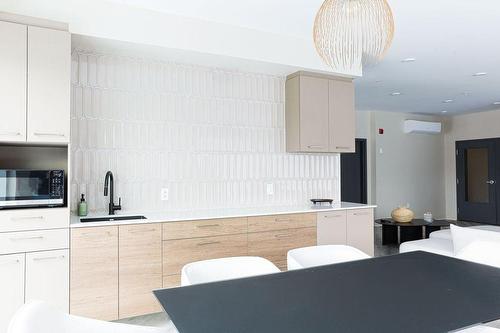 Kitchenette - 214-555  - 565 Rue René-Lecavalier, Terrebonne (Terrebonne), QC - Indoor Photo Showing Kitchen