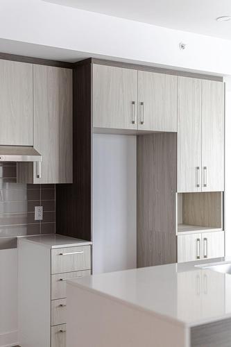 Kitchen - 214-555  - 565 Rue René-Lecavalier, Terrebonne (Terrebonne), QC - Indoor Photo Showing Kitchen