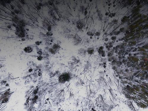 À construire - 1 Route 352, Saint-Adelphe, QC 