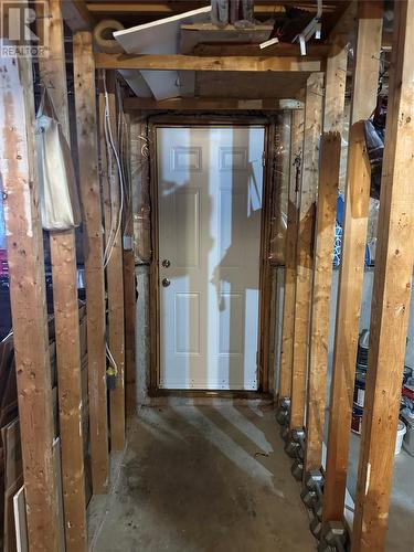 29 Ashgrove Drive, Paradise, NL - Indoor Photo Showing Basement