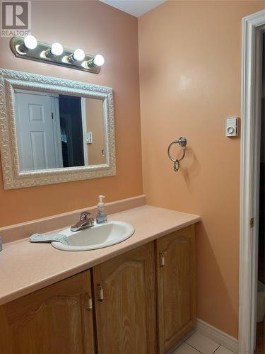 29 Ashgrove Drive, Paradise, NL - Indoor Photo Showing Bathroom