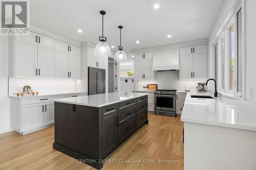 162 Princeton Terrace, London South (South K), ON - Indoor Photo Showing Kitchen With Upgraded Kitchen