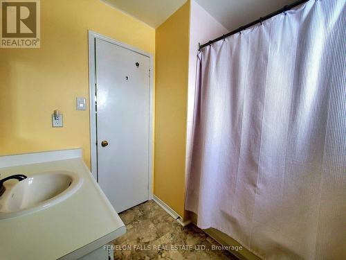 180 Orchard Park Road, Kawartha Lakes (Lindsay), ON - Indoor Photo Showing Bathroom