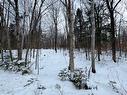 Land/Lot - Rue Des Violettes, Gore, QC 