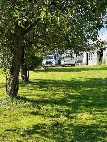 Cour - 22 Rue St-Joseph, Saint-Louis-De-Gonzague, QC - Outdoor