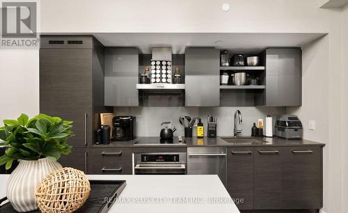 318 - 1030 King Street W, Toronto, ON - Indoor Photo Showing Kitchen