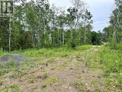 2187 Bay Estates N  Nemi, ON P0P 1W0