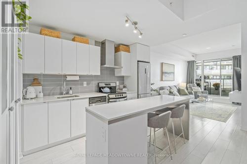 510 - 51 East Liberty Street, Toronto, ON - Indoor Photo Showing Kitchen With Upgraded Kitchen