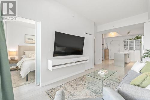 510 - 51 East Liberty Street, Toronto, ON - Indoor Photo Showing Living Room