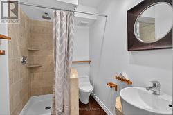 Lower Level Bathroom - 