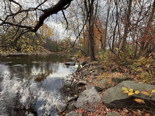 Bord de l'eau - Ch. De L'Île-Aux-Chats, Saint-André-D'Argenteuil, QC 