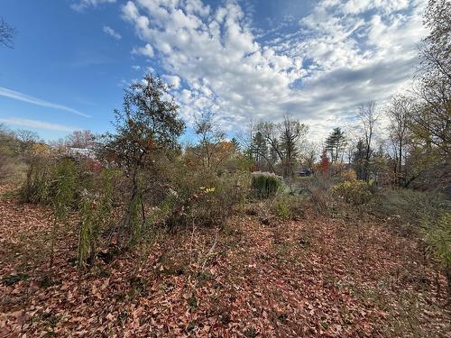 Extérieur - Ch. De L'Île-Aux-Chats, Saint-André-D'Argenteuil, QC 