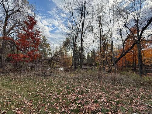 Boisé - Ch. De L'Île-Aux-Chats, Saint-André-D'Argenteuil, QC 