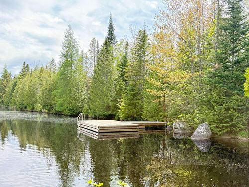 Accès au plan d'eau - 12-Ch. Domaine Sur Le Lac, Sainte-Lucie-Des-Laurentides, QC 