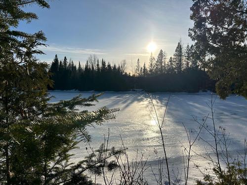 Exterior - 08-Ch. Domaine Sur Le Lac, Sainte-Lucie-Des-Laurentides, QC 