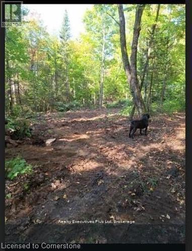 00 Ottawa Avenue, Machar, ON 