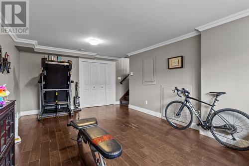 20 Caravelle Place, St. John'S, NL 