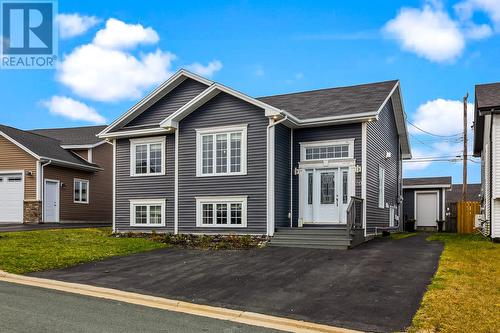 20 Caravelle Place, St. John'S, NL 