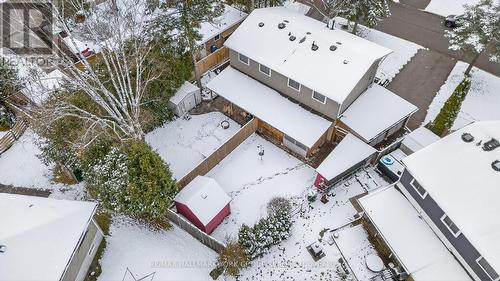 309 Oakwood Court, Newmarket, ON - Outdoor With View