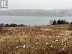 0 North side Road  Calvert, NL None