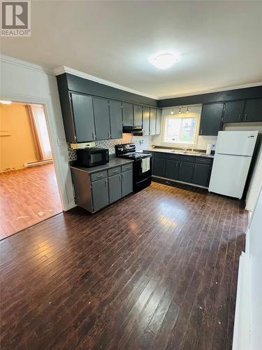 66 Back Track Road, Spaniards Bay, NL - Indoor Photo Showing Kitchen