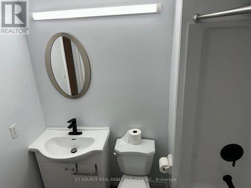 Lower - 155 Highland Crescent, Toronto, ON - Indoor Photo Showing Bathroom