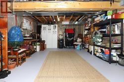 Basement Den - 