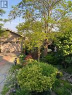 Summertime Backyard - 