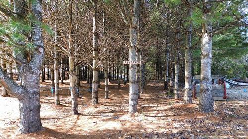 Extérieur - 36 Rg Cohoes, La Patrie, QC - Outdoor With View