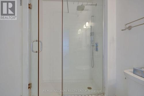 Oversized glass shower - 208 - 555 Anand Private, Ottawa, ON - Indoor Photo Showing Bathroom